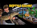 Touring America s Largest Reptile EXPO INSANE