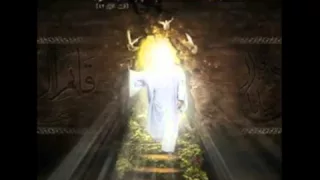 زيارة ال يس بصوت السيد نصر الله 