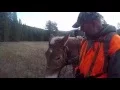 Rick Albers Hunt Specimen Creek Outfitters Gardiner Montana