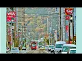 寺尾聰　ルビーの指輪