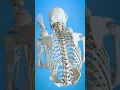 Download Lagu The Folded Man Stands Straight 😮
