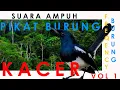 Download Lagu SUARA AMPUH MEMANCING/ PIKAT BURUNG KACER YANG LEPAS DARI SANGKAR, TERBUKTI👍👍👍