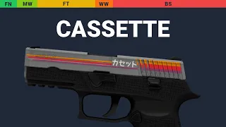 P250 Cassette - Skin Float And Wear