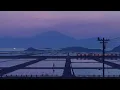 Download Lagu Yorushika - Liar [Vietsub]
