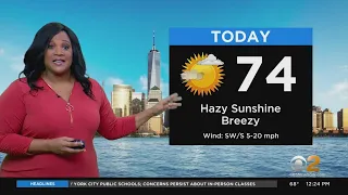New York Weather Hazy Sunshine