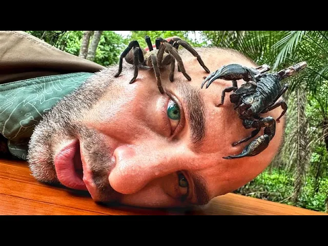 Video: These Bugs Sent Me to the Hospital!