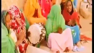 أغاني إرتريا تقري Music Eritrea Tigre 