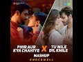 Phir Aur Kya Chahiye x Tu Mile Dil Khile - Mashup