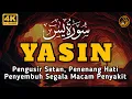 Download Lagu Surah Yasin Pengusir Setan dan Penyembuh Segala Macam Penyakit, Ngaji Merdu | By : Alaa Aqel
