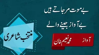 Best Urdu Poetry Collection Bashir Badr Urdu Poetry منتخب اردو شاعری بشیر بدر 