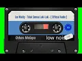 Leo Waldy - Tidak Semua Laki-Laki - [ Official Audio ]