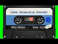 Download Lagu Leo Waldy - Tidak Semua Laki-Laki - [ Official Audio ]