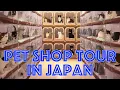 Ultimate Pet Paradise Exploring Japan s Biggest Pet Shop