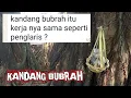 Download Lagu Penjelasan Seputar Pesugihan kandang Bubrah