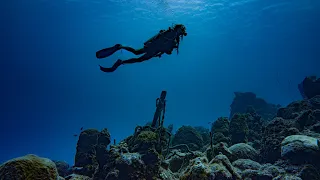 Diving at the famous TUGBOAT BEACH  in Curacao   #77