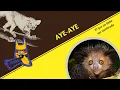 Download Lagu Aye-Aye: El que no debe ser nombrado | Ep 131| CULTURA COLMILLUDA