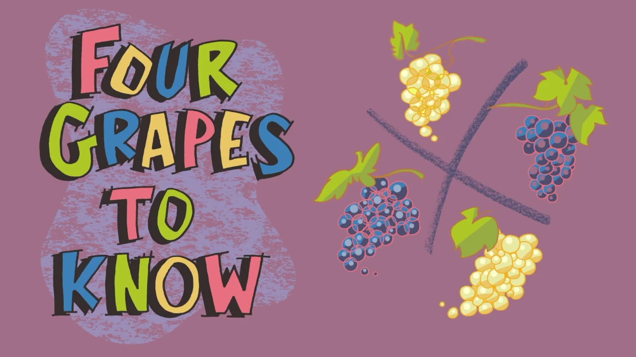 Explaining Wines from Spain: 4 Grapes to Know