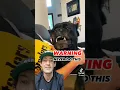 Download Lagu AGGRESSIVE Cane Corso Attacks Owner #shorts #canecorso #dogtraining #dog