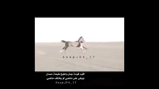 اقوم قومة جمل واطيح طيحة حصان تصميم  اقوم قومة جمل واطيح طيحة حصان تصميم