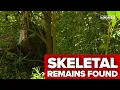 Skeletal remains found in Cincinnati neighborhood