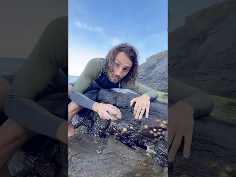 Que manger à la plage ?! 🏝️