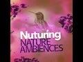 Peaceful Birdsong - Calm Bird Sounds