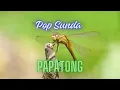 Download Lagu LAGU SUNDA PAPATONG - Voc. DARSO   #popsunda, #lagusunda