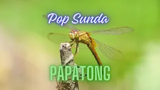 lagu sunda papatong voc darso popsunda lagusunda
