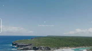 Gustixa, Walmoods, yaeow - never get you back (Official Lyrics Video)