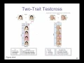 Unit 4 4 Two Trait Testcross and sample problems