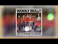 Sam The Sham And The Pharaohs - Wooly Bully [SLOWED + REVERBED]