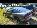 Junkyard Exploring Finding Abandoned Project Cars