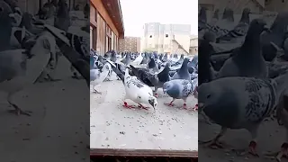 مع مطيار البطل السعودي المعروف تقي اليوسف في هذا اليوم السبت ٢٦ نوفمبر ٢٠٢٢م 