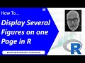 How To Display Several Figures in One Page in R