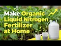 Make Organic Liquid Nitrogen Fertilizer at Home - Fast Growth Plant Booster