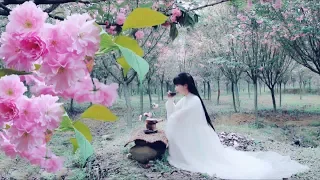 It S Another Cherry Blossom Season Let S Drink Cherry Blossom Tea Together Liziqi Channel 