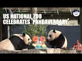 Giant panda conservation a good example of what China and the US can achieve when working together