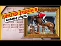 Why is this horse s pedigree so Extraordinary