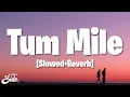 Download Lagu Tum Mile [Slowed+Reverb] - Javed Ali (Lyrics)