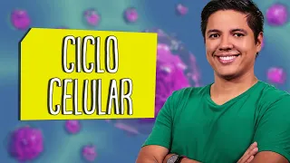 INTERFASE - CICLO CELULAR - Prof. Kennedy Ramos