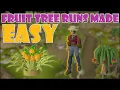Quick Guide to Fruit Tree Runs in OSRS