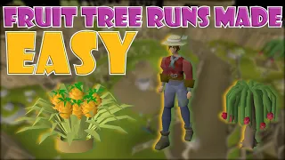 Quick Guide to Fruit Tree Runs in OSRS