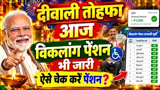 🚨 आ गई पेंशन! आज जारी हुई विकलांग पेंशन, DBT का मैसेज तुरंत चेक करें | Viklang Pension Update Today