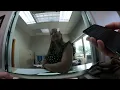 Public Records Battle Challenges with Prosecutors and Police in Outagamie County