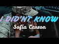 Sofia Carson - I Didn't Know (Lyrics) (From Purple Hearts)