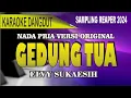 Download Lagu Karaoke Gedung Tua (Nada pria) - Elvy sukaesih