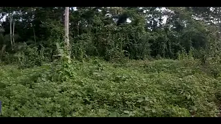                     دندنها