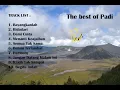 Download Lagu 10 Lagu Terbaik Padi