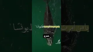 يا من اجبت دعاء نوح فانتصر وحملته في فلكك المشحون يا ربي انا مثله في كربه فارحم عبادا كلهم ذا النون 