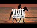 InRp - Stay (Vlog No Copyright Music)